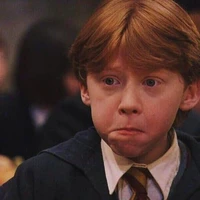 Ron🍗