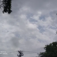 cả nhóm