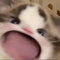 bl_nguyenle (Tác Giả)