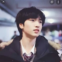 Nghiêm Hạo Tường