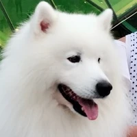 nhân viên bán hàng