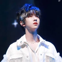 Hạ Tuấn Lâm