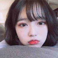 Han Y/N