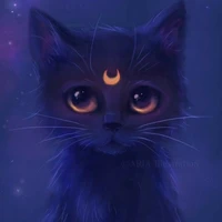 Martino Kat