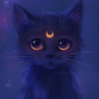 Martino Kat