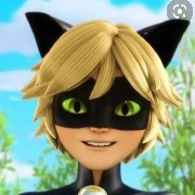 Chat noir