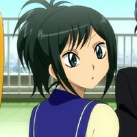 tori