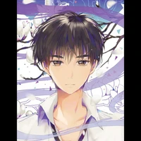 kinomoto touya