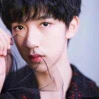 Hạ Tuấn Lâm
