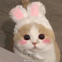 tác giả ít nói