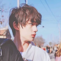 Đinh Trình Hâm