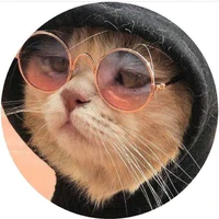 Tác giả cute
