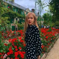 Park Chaeyoung