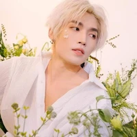 Nhật Nam