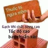 NV phụ (nam or nữ)