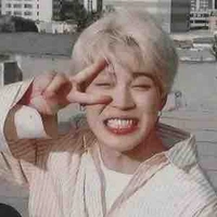 Park Jimin(vương gia)