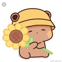 gấu nâu