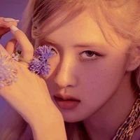 Rosé