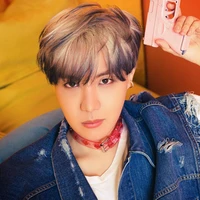 Jung Ho Seok (jhope/anh/Top)