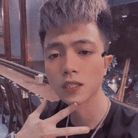 mister vịt