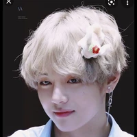 Kim TaeHyung