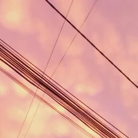 Tất cả học sinh