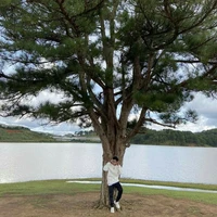 Nguyễn Việt - Anh Hai Tui