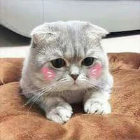 tác giả- 😊