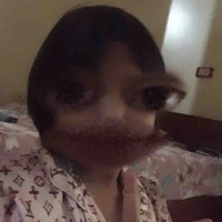 Minh Chi 