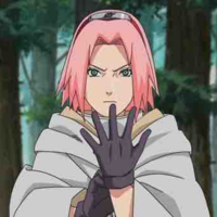 Sakura 