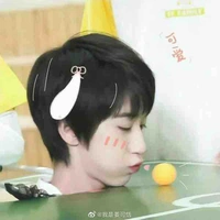 Hạ Tuấn Lâm 