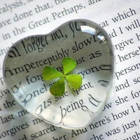 ꧁༺𝔹𝕝𝕒𝕔𝕜𝕓𝕖𝕣𝕣𝕪༻꧂