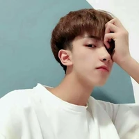 Nguyễn Quang Huy(bff na9)