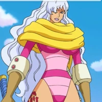 charlotte smoothie/14