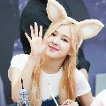 rosie