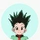 gon