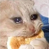 thú cưng của sanami