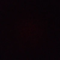 nhân vật tổng hợp