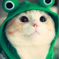 🍀🍁Quỳnh búp bê🐷 (tác giả)