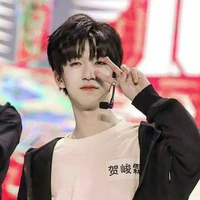 Hạ Tuấn Lâm