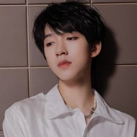 Hạ Tuấn Lâm(cậu)