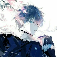 Hàn Anh Bảo/công