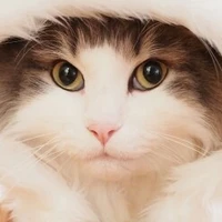 Tiểu Nha(hệ thống)