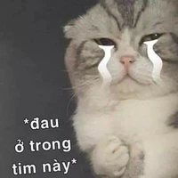 tác giả