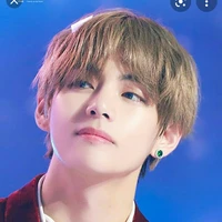 Kim taehyung(V)