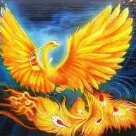 phượng hoàng lửa