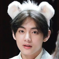 gấu taetae