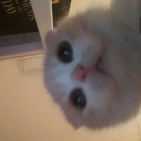 Tg cutephomaique:3