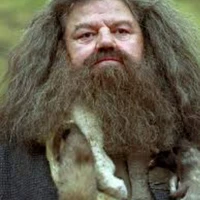 Hagrid