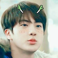Kim Seok Jin